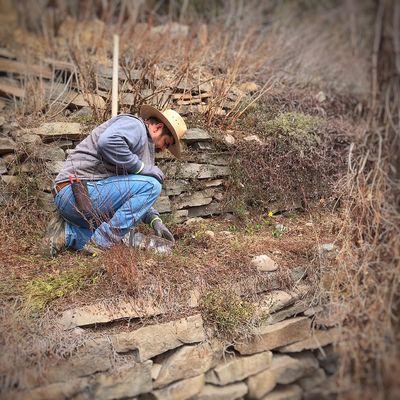 Marcelino helping in the landscape. Planting fall bulbs in late March.