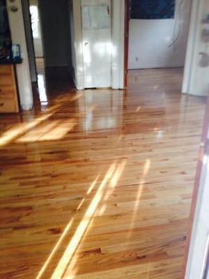 Newly refinished floor. You can't even see where the large area of patching was done!