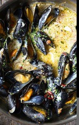 Mussels