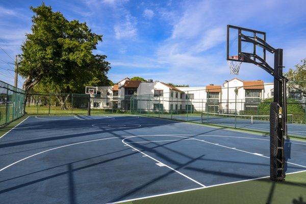 Basketball Court