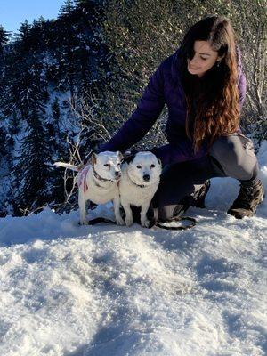 Paws On A Path