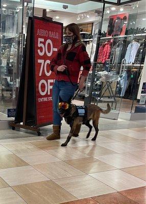 Dog wearing sun glasses walked by me at the mall.