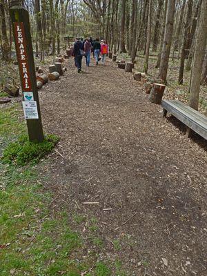 Wood Trail