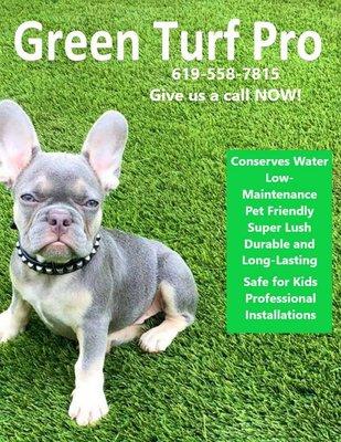 Green Turf Pro San Diego Pet Friendly Turf