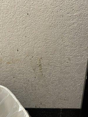 The walls throughout the hotel room were dirty and gross!