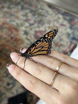 Butterfly nails