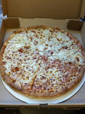 Medium cheese pizza 1/2 onion.