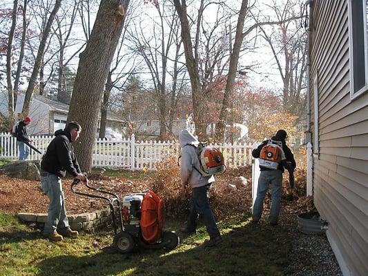 Let Us Put Back The Fun In Fall; Schedule A Yard Cleanup This Year!