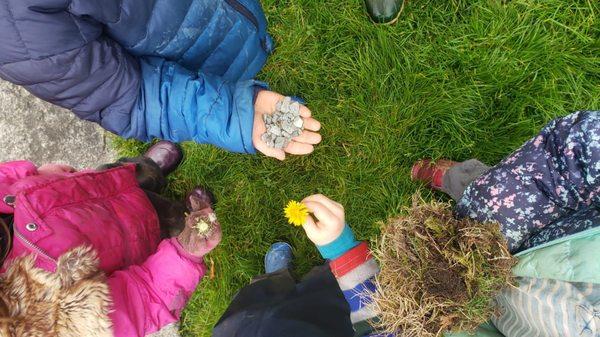 Treasures from our walks!