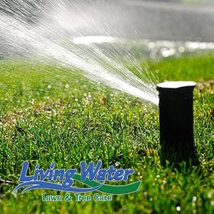 Get a sprinkler program. A turn on, 2 adjustments, and a blowout for only $199.95. Up to 6 zones.