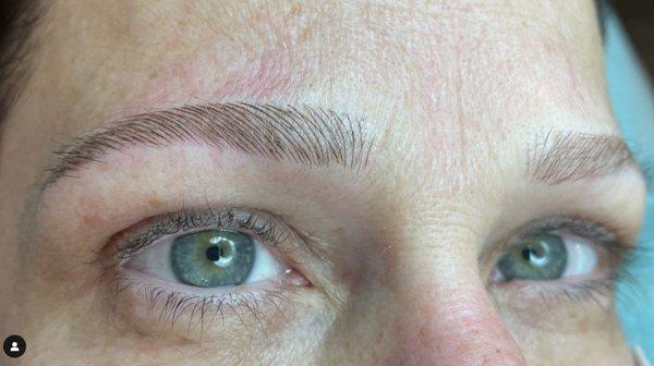 Fresh Precision Eyebrows Mircoblading by Nicole Zillitto