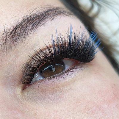 Colored striplash megavolume eyelash extensions