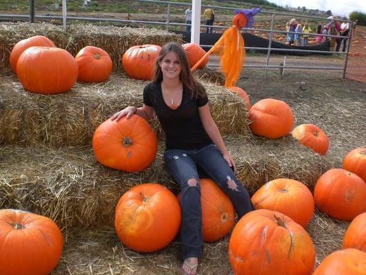 "robust" pumpkins for sale!