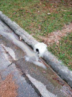 Curb cut to allow drain water to spill into street.