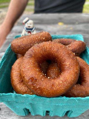 Fresh mini cider donuts! Took a while, but worth the wait.