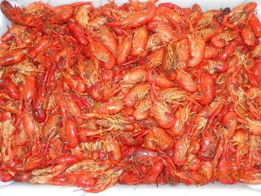 HOT DELICIOUS CRAWFISH!