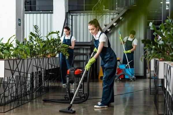 The Boss Cleaning