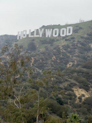 Hollywood sign