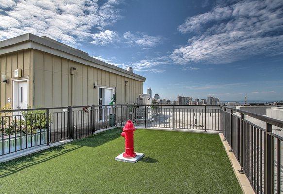 Gated dog park on rooftop terrace.