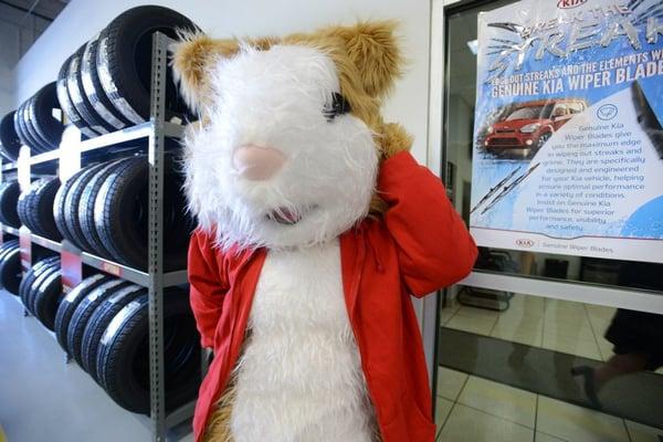 KIA Hampster at Paramount KIA Hickory!