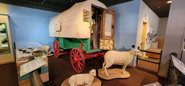 Sheep herder wagon