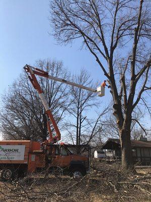 Forestry bucket truck