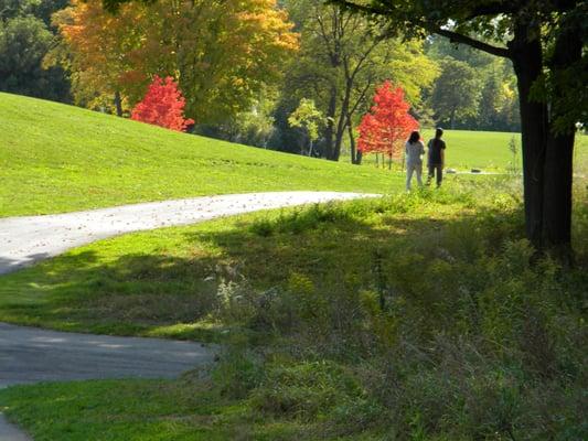 Marshbank Park