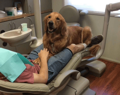 Meet Our Resident Therapy Dog "Princess"