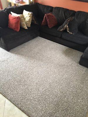 Master Clean Carpet & Upholstery Care