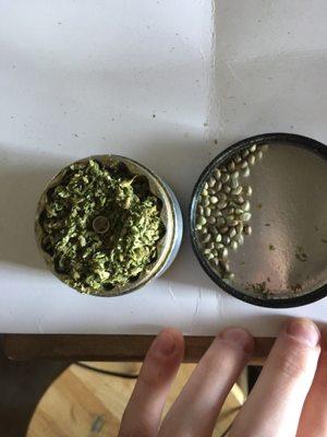 55 seeds for one grinder of tree!