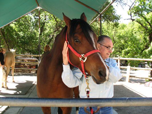 New Wave Equine Therapy