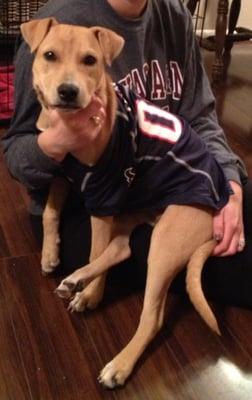 Ellie wearing her Texans jersey!