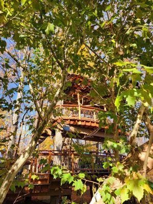 The Blueberry Treehouse Farm