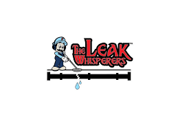 We do it all. We specialize in leak detection but we handle everything from Leaky Faucets to Water Heaters.