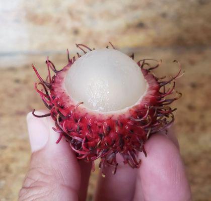 Opened up rambutan