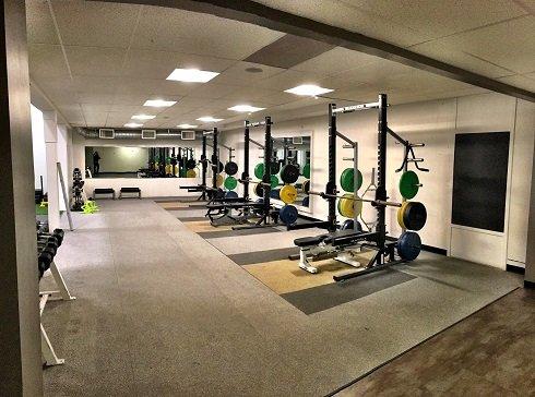 Area with free weights.