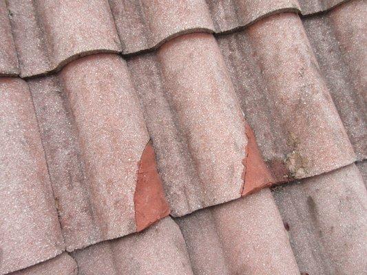 Wind Damage to Tile roof