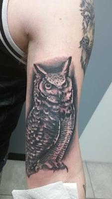 owl done by jon