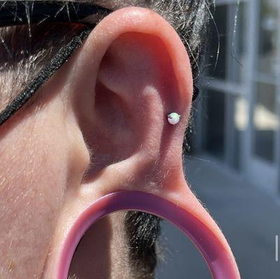 Cartilage piercing