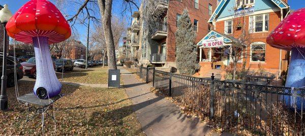 Panoramic view of the store front