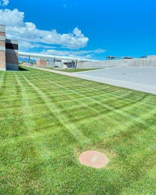 Commercial lawn maintenance