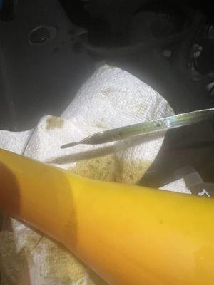 Overfilled dipstick!!!