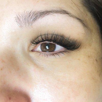 Hybrid Lash Cat Eye