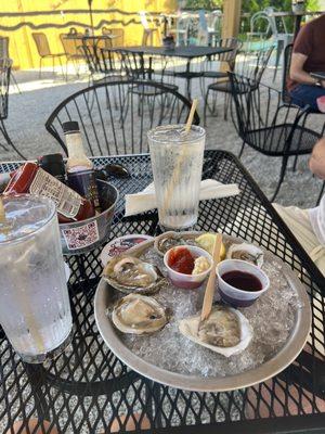 Half Shell Oysters