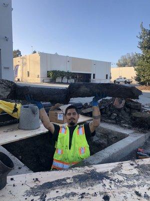 Root ball that caused a major sewer backup