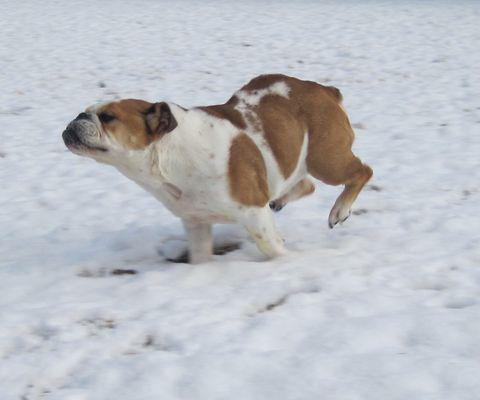 We have so much fun in the snow too!