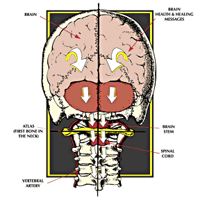 Neck and head alignment.