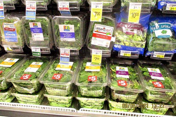 Salads Section