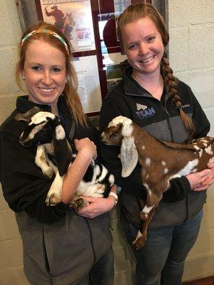 Two of our Equine and Livestock Technicians, Morgan and Hannah.