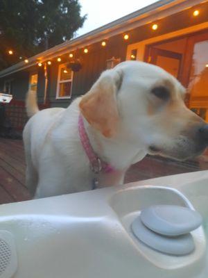 My puppy dog and me enjoying a morning soak!